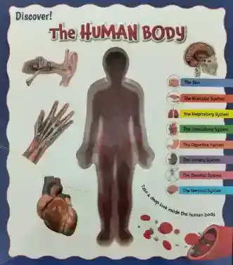 DECOUVRIR LE CORS HUMAIN